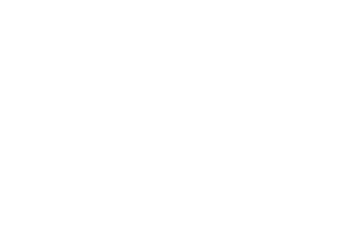 True North Logo